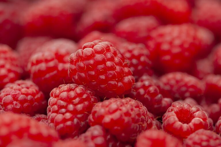 Himbeeren – Traumdeutung und Interpretation