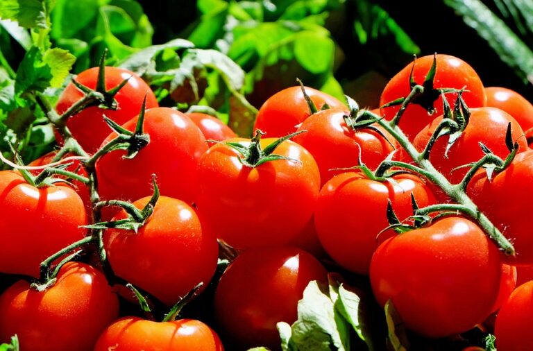 Was bedeutet es, von Tomaten zu träumen?