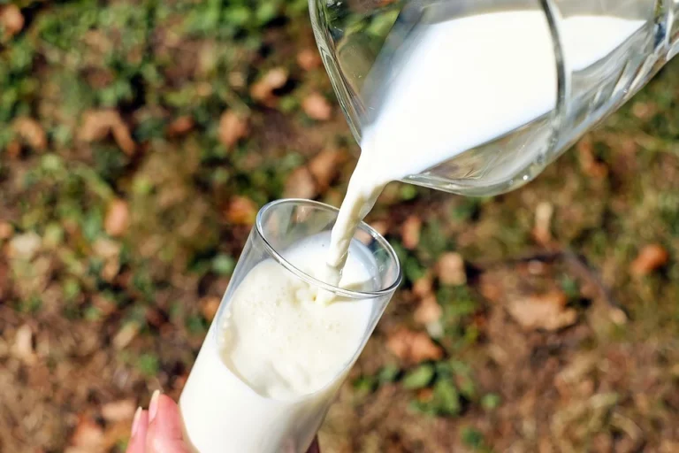 Milch – Traumdeutung und Symbolik