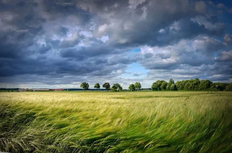 Wind in einem Traum – Bedeutung und Erklärung