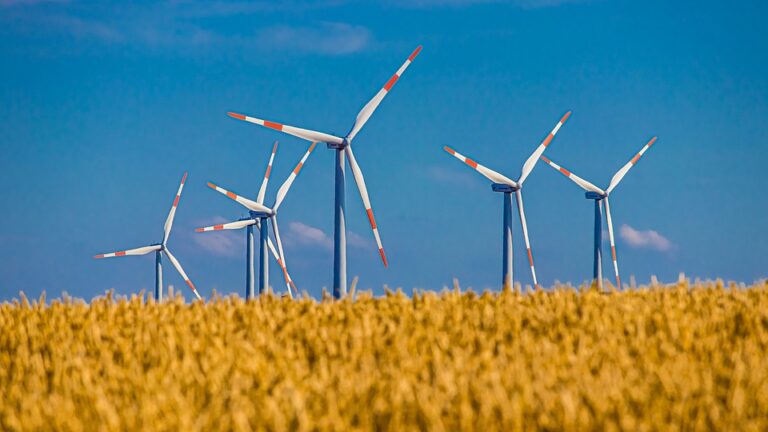 Was bedeutet es, von einer Windmühle zu träumen?