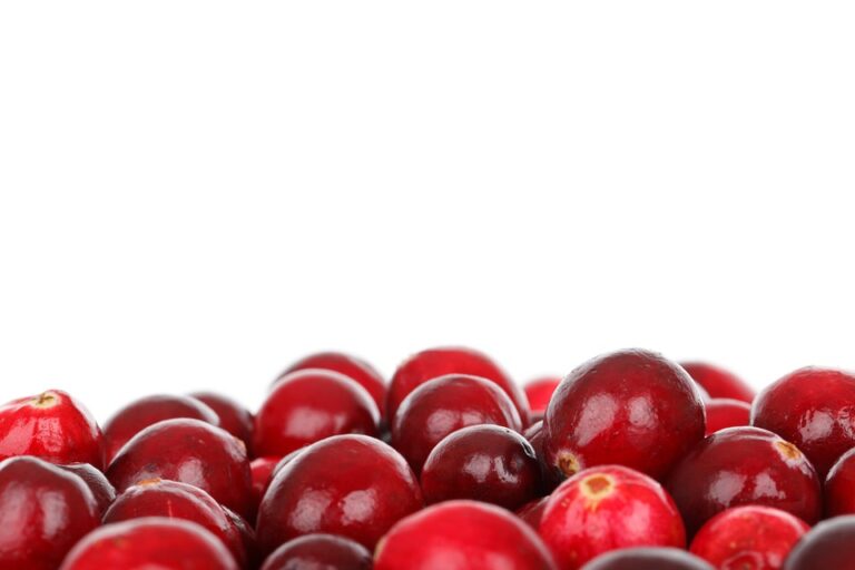 Cranberries im Traum – Bedeutung und Symbolik