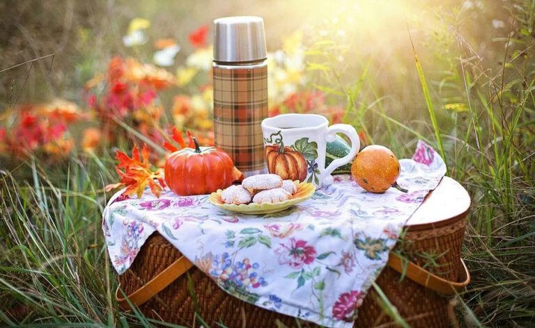 Was bedeutet es, von einem Picknick zu träumen?