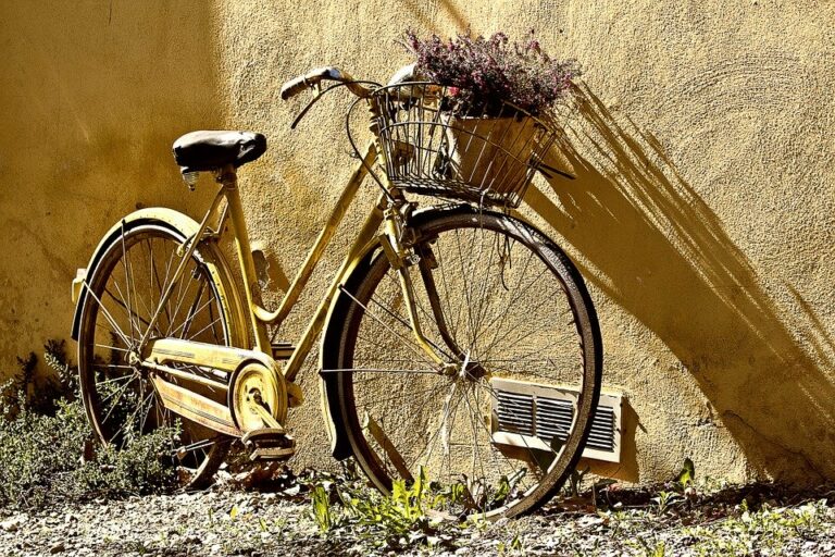 Was bedeutet es, von einem Fahrrad zu träumen?