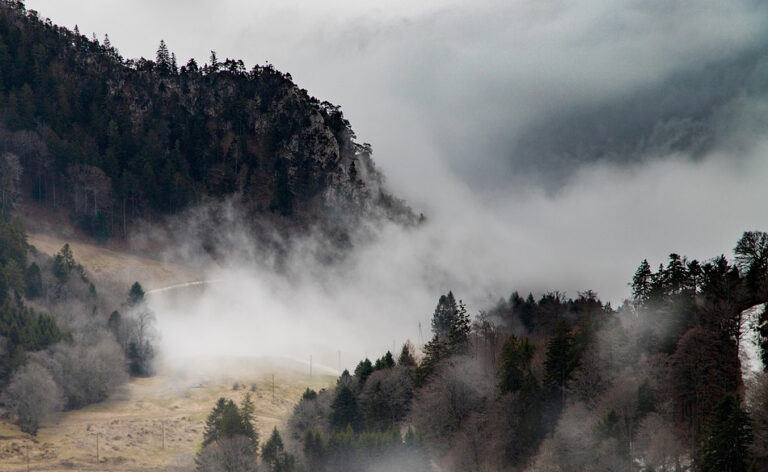 Nebel – Traumdeutung und Symbolik